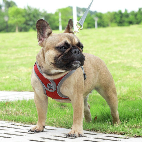 Breathable Soft Air Mesh Harnesses for Puppy